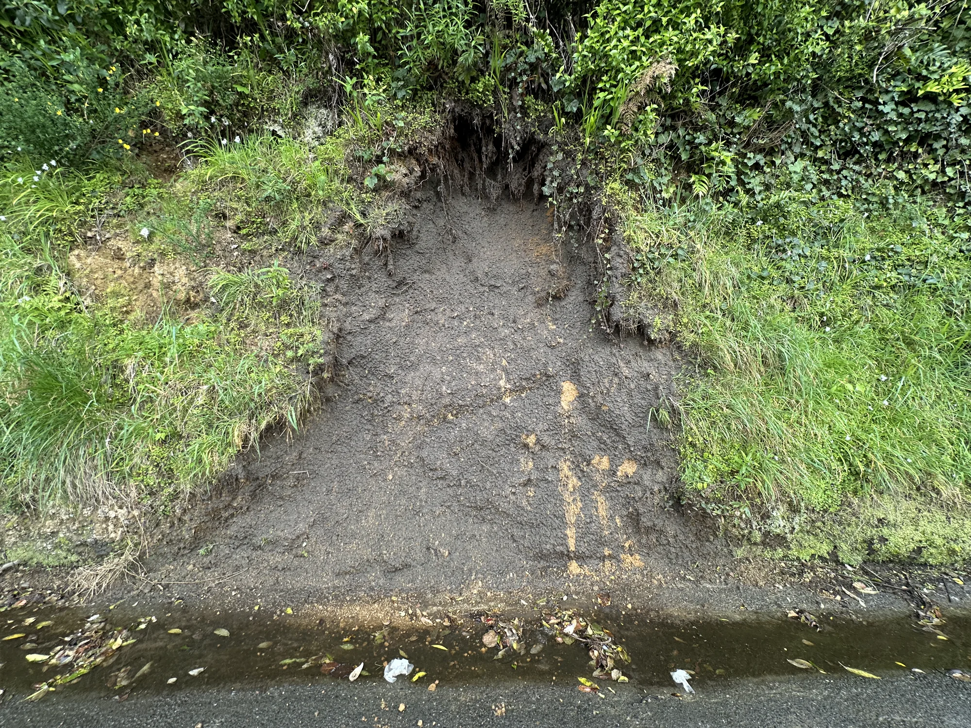 Site at 284 Grounsell