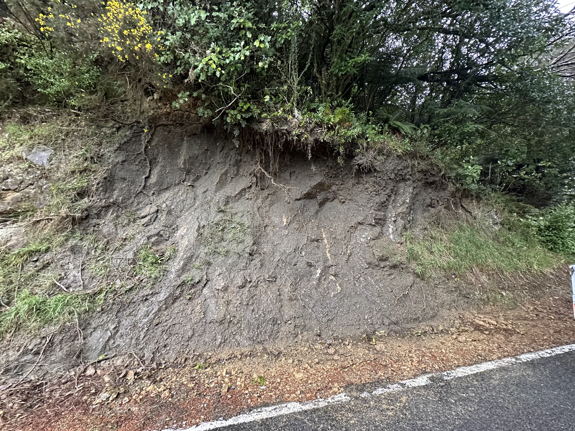 Site at 482 Moores Valley Road