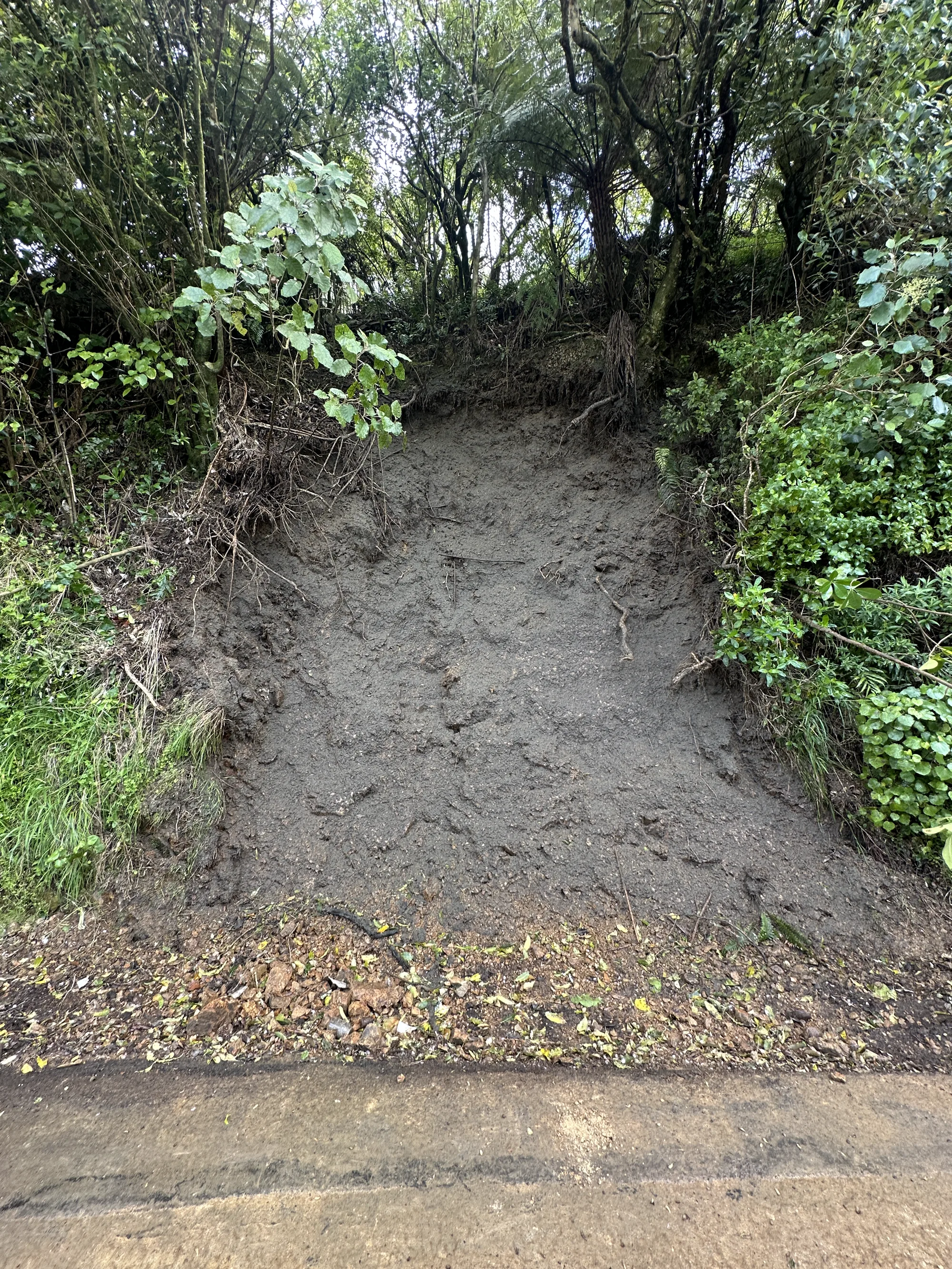Site at 80 Korokoro