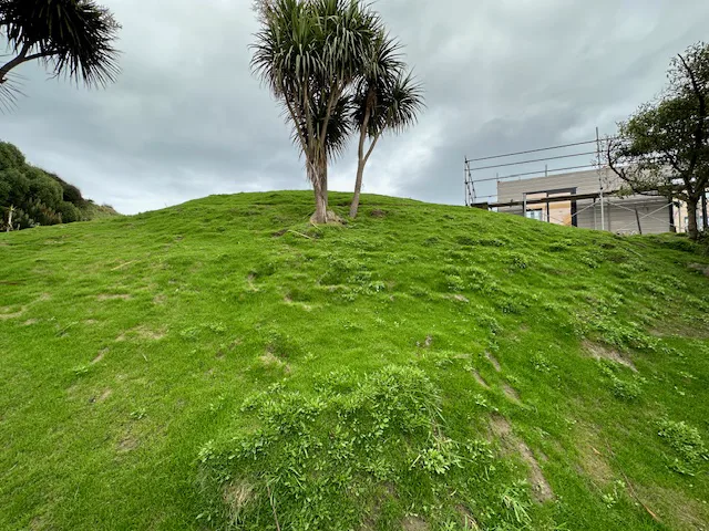 Peka Peka established grass after hydroseeding