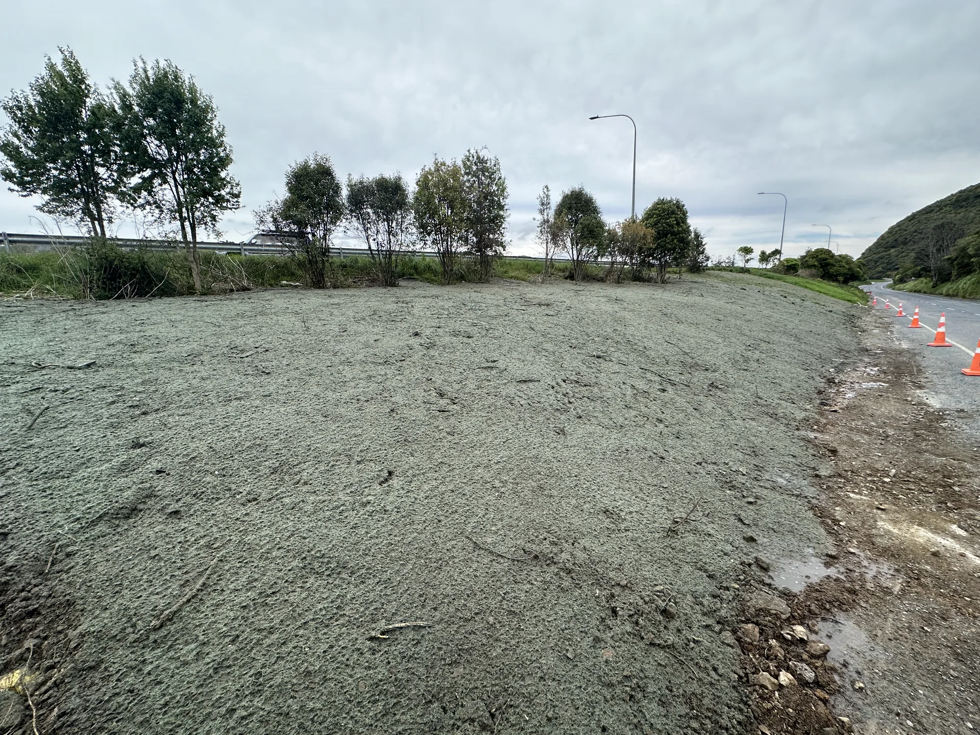 Hebden Crescent slope hydroseeding
