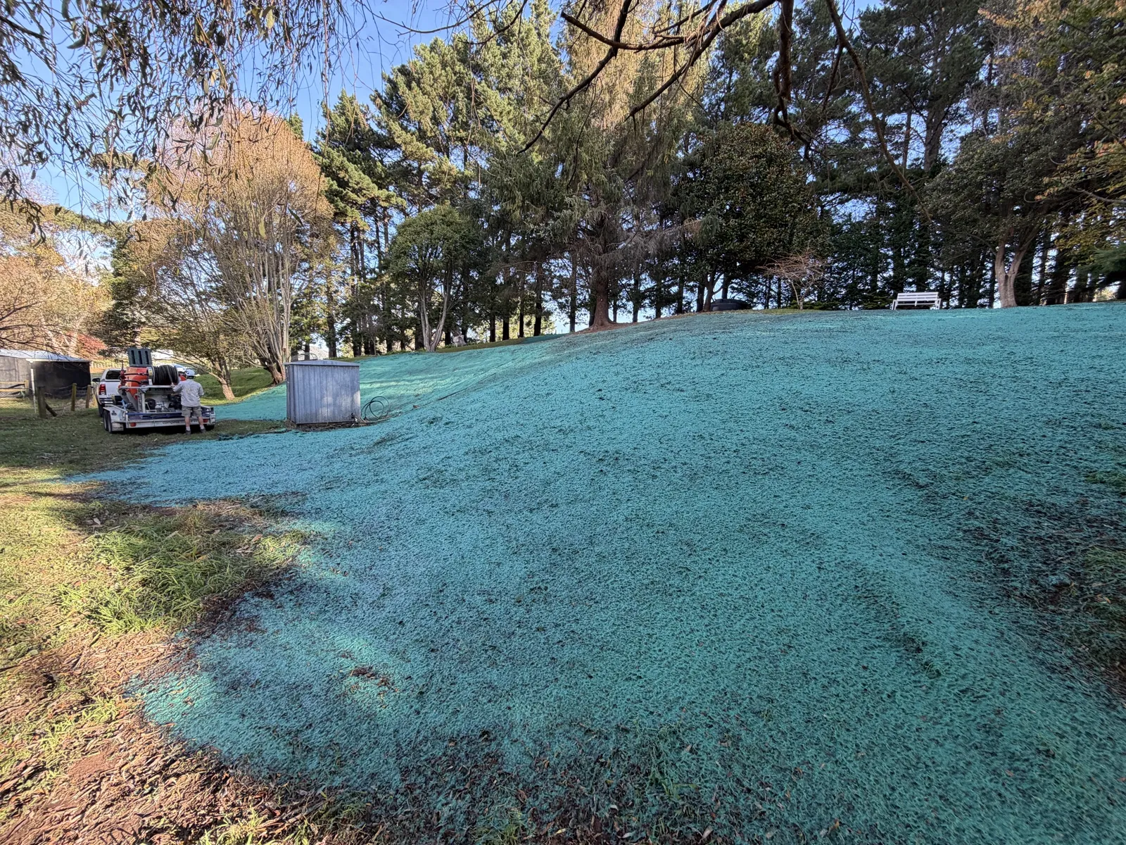 Slope stabilisation with established hydroseed cover