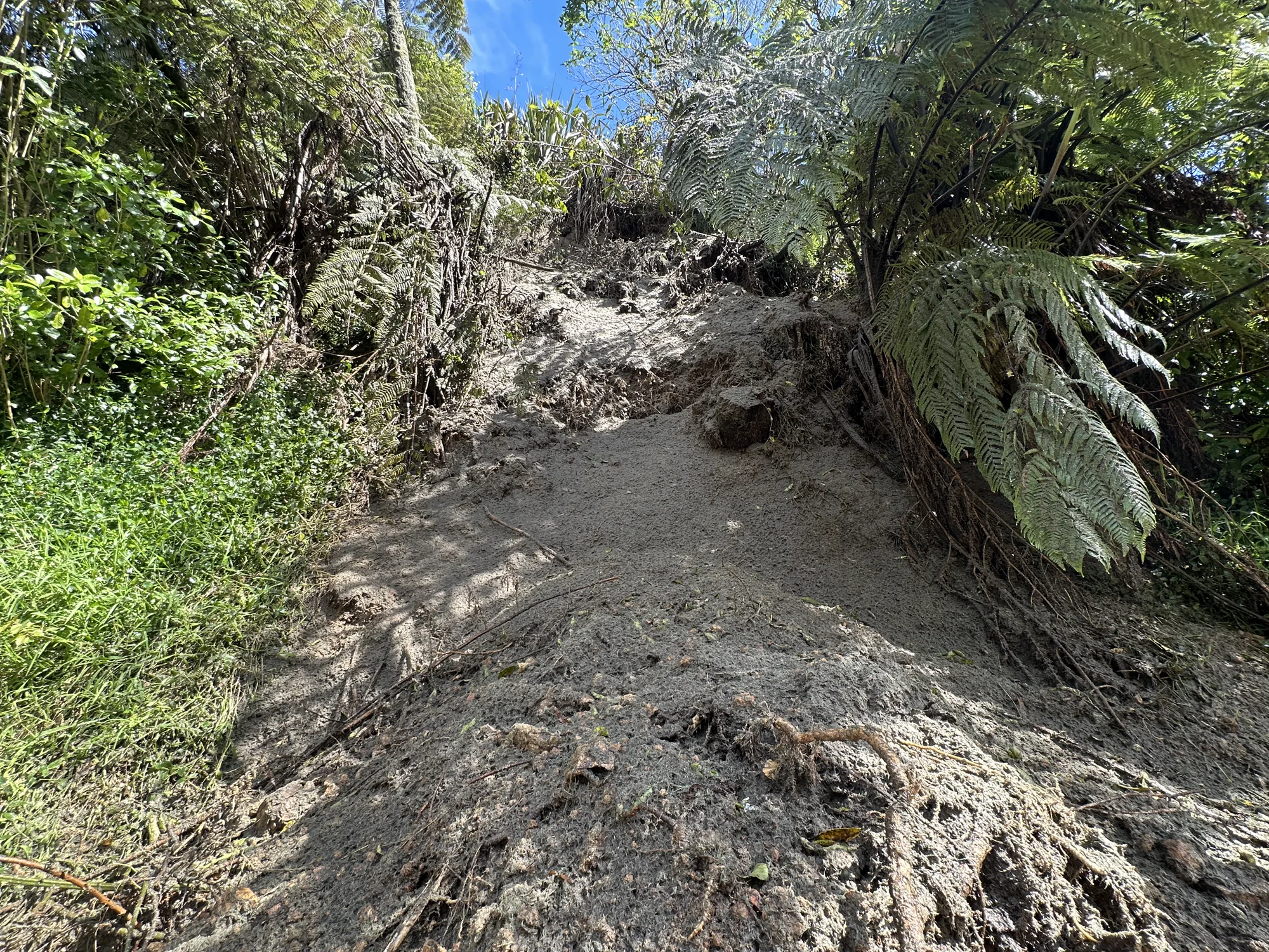 Summit Road slope hydroseeding
