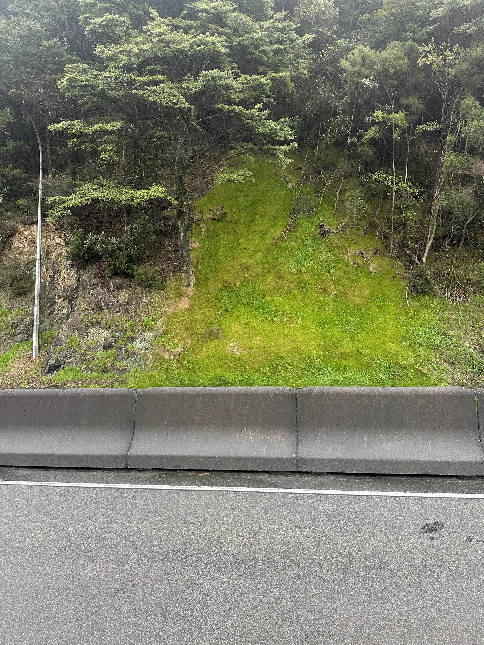 Wainuiomata Hill bank stabilisation