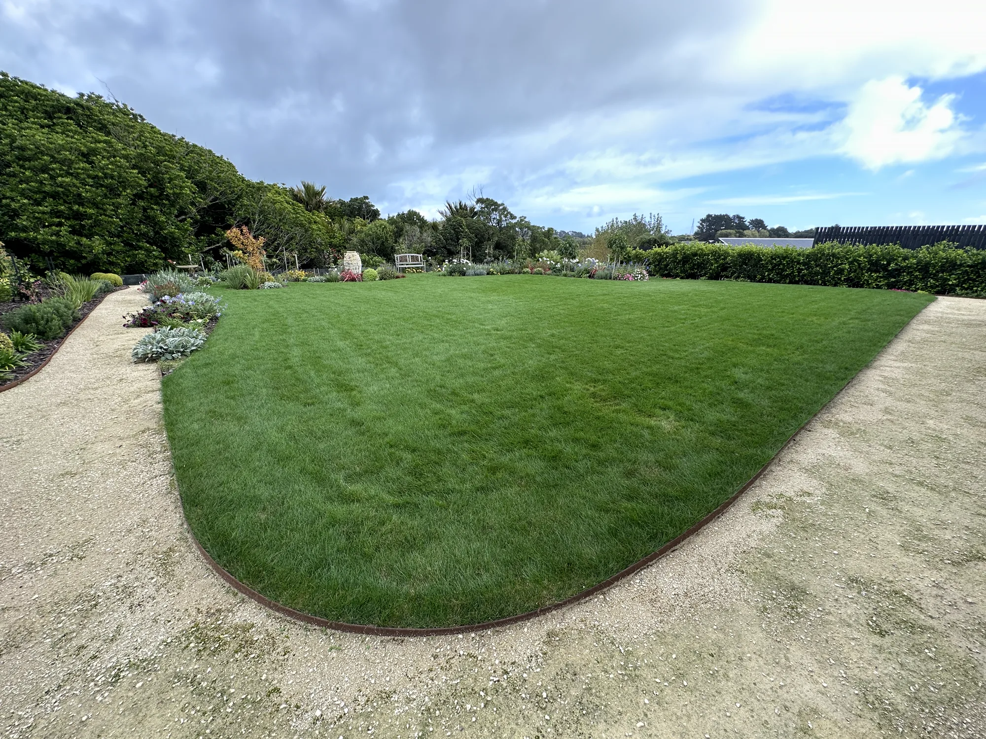 Established fine fescue lawn
