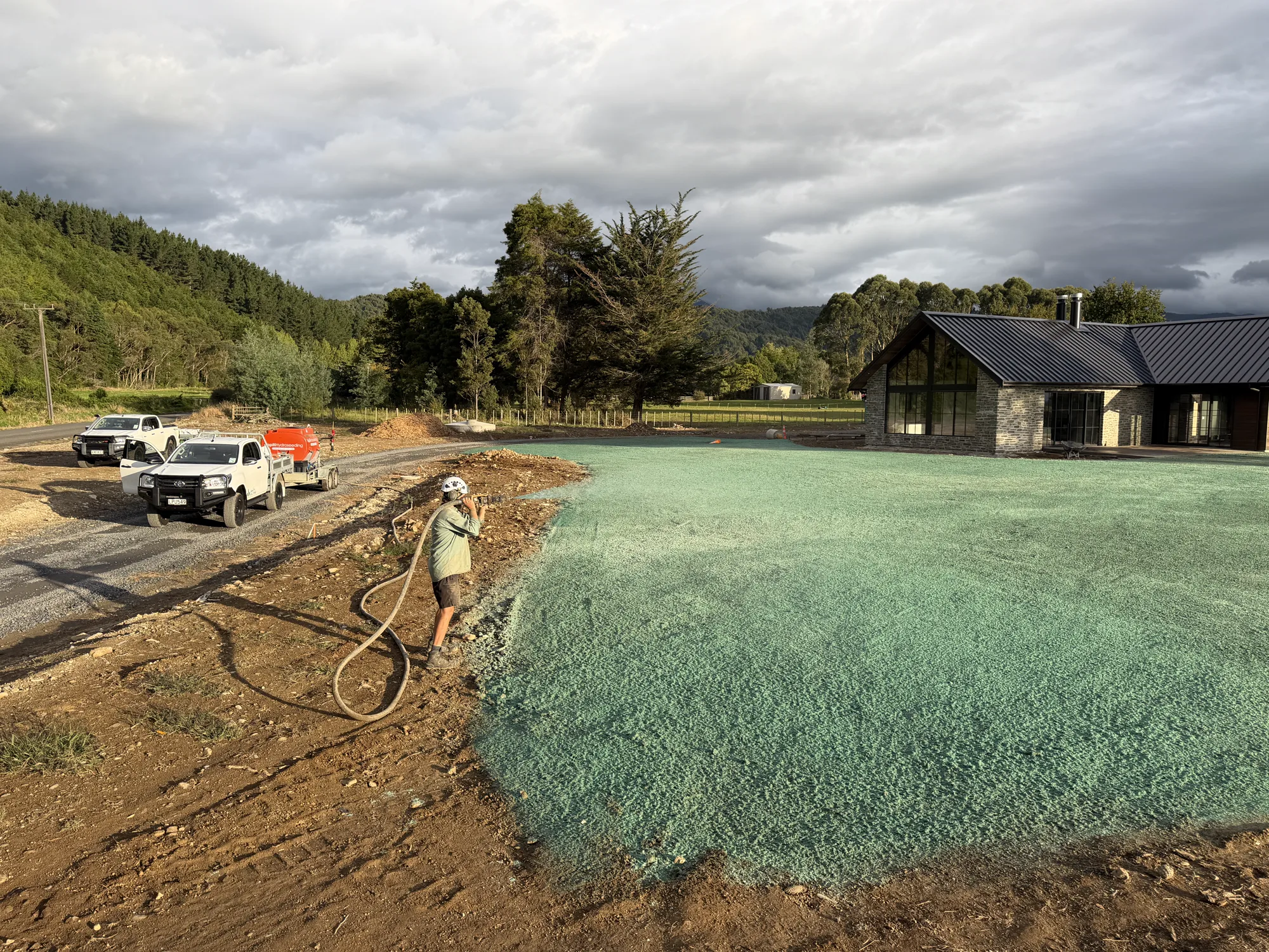 New lawn established by hydroseeding