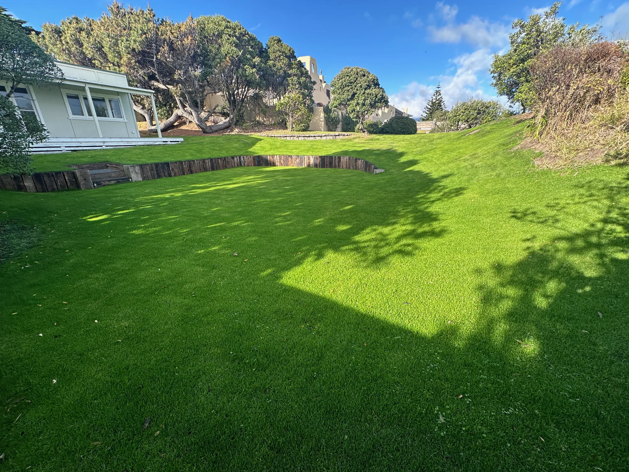 Established lawn at Raumati Beach after hydroseeding