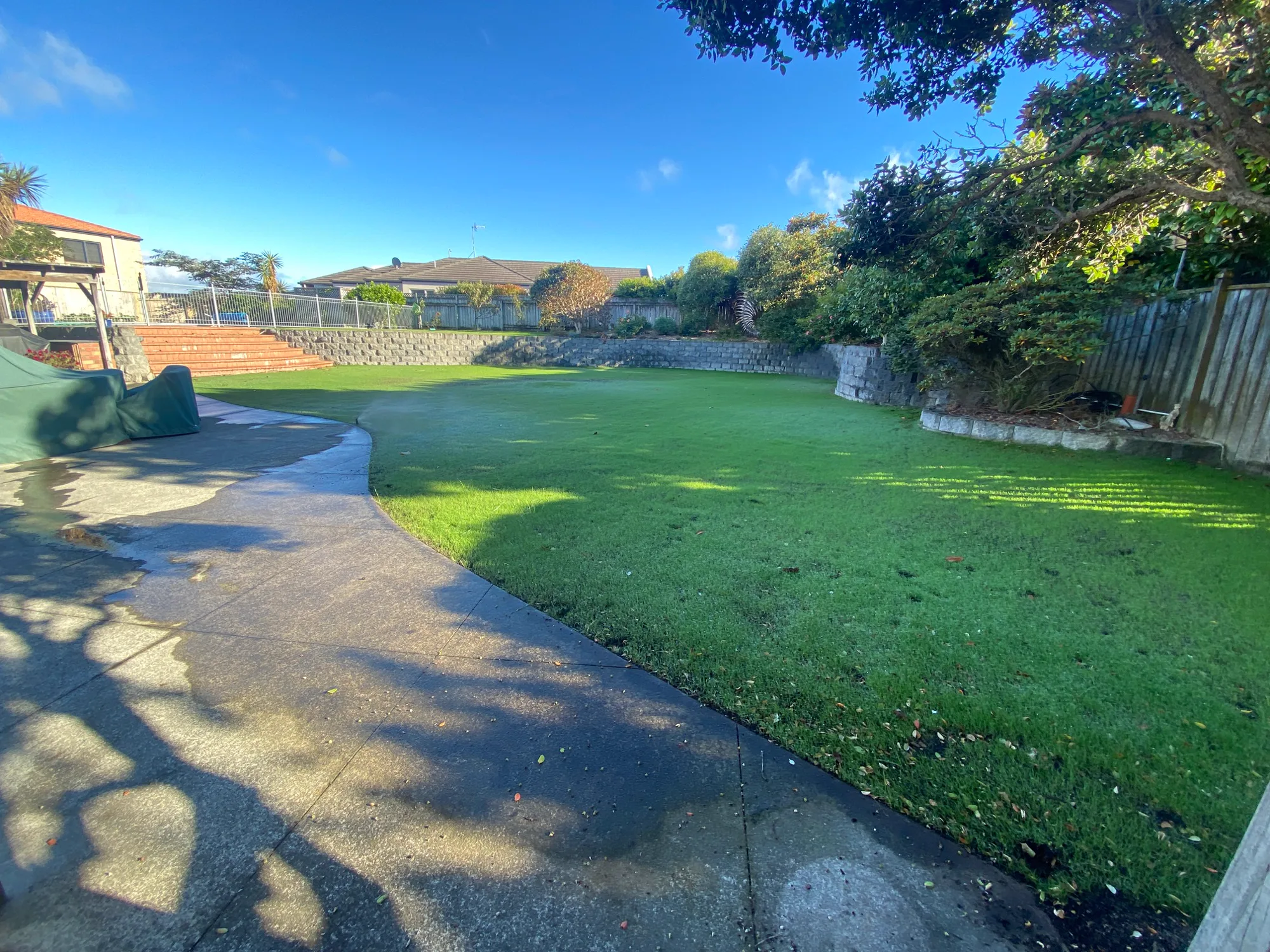 Lawn two weeks after hydroseeding